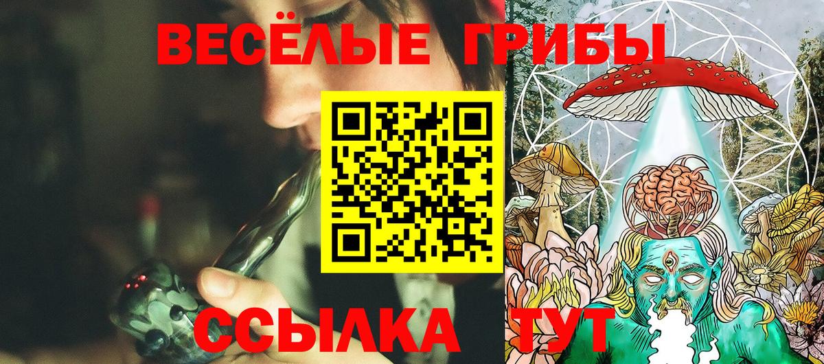 Прокопьевск  Галлюциногенные грибы прущие грибы  Вход с VPN 